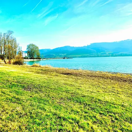 Tropical Island 23c - Seesicht - Massage - Bbq - Billiard - Trambolin - Tischkicker - Penthouse - Parkplatz Ferienhaus Ohningen